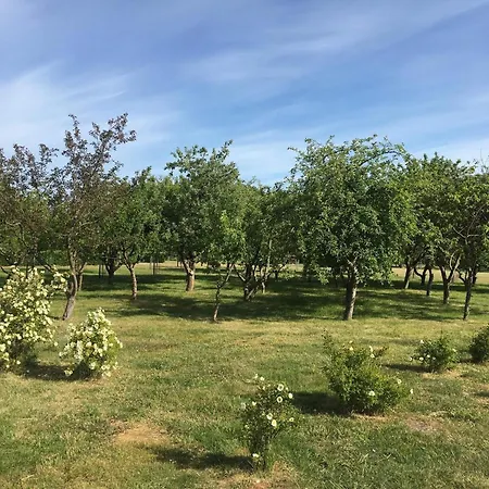 Tatil Evi 8 Person In