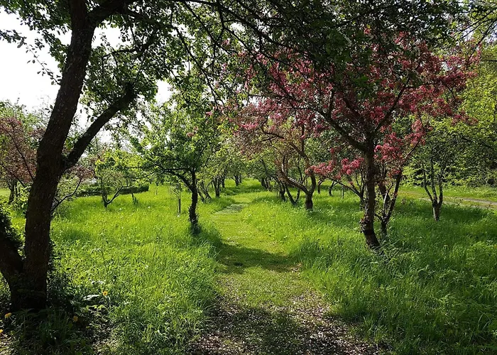 Сasa de vacaciones 8 Person In Saeby-by Traum