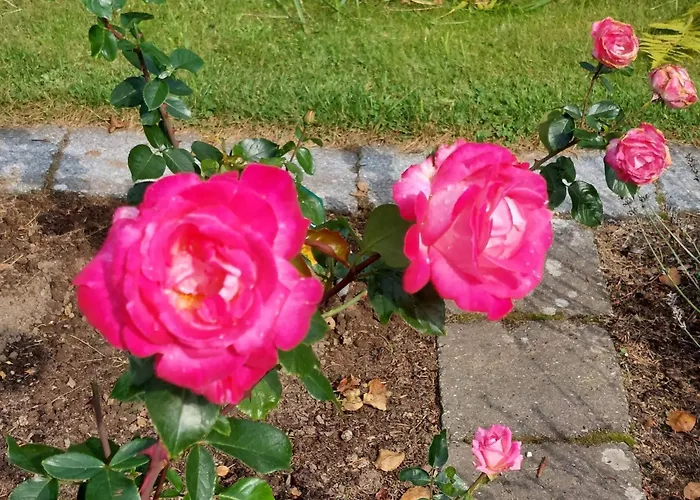 Сasa de vacaciones 8 Person In Saeby-by Traum *