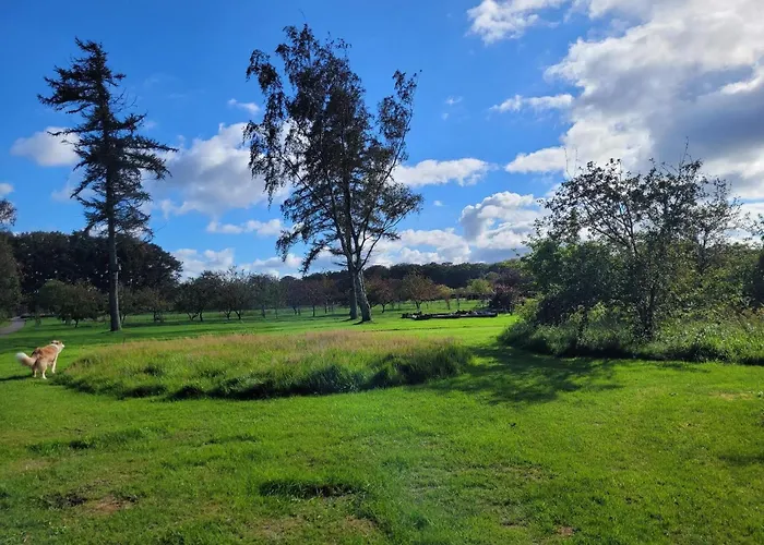 Сasa de vacaciones 8 Person In Saeby-by Traum *